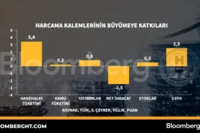 Buyume-Bilesenleri-Tuketim-ve-Yatirimin-Katkisi-Analizi-featured