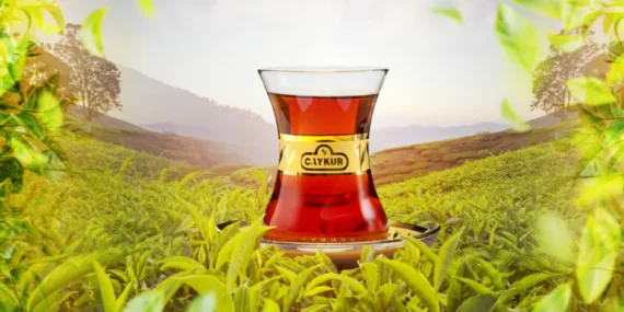 ÇAYKUR, Yaş Çay Budama Bedellerini Üreticilere Ödedi
