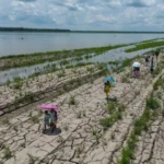 El-Nino-Olustu-Kuresel-Tarim-Sektoru-ve-Piyasalar-Icin-Riskler-featured