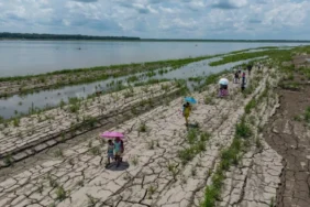 El-Nino-Olustu-Kuresel-Tarim-Sektoru-ve-Piyasalar-Icin-Riskler-featured