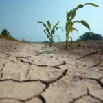 El-Nino-Tehdidi-Kuresel-Ekonomi-3-7-Trilyon-Dolar-Zarar-Gorebilir-featured