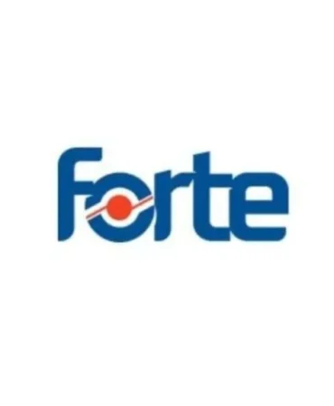 FORTE-Forte-Teknoloji8217den-Hisse-Basina-Net-0442-TL-Temettu-featured