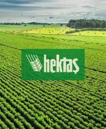 HEKTS-Hektas-Yonetim-Kurulu8217nda-Atama-featured
