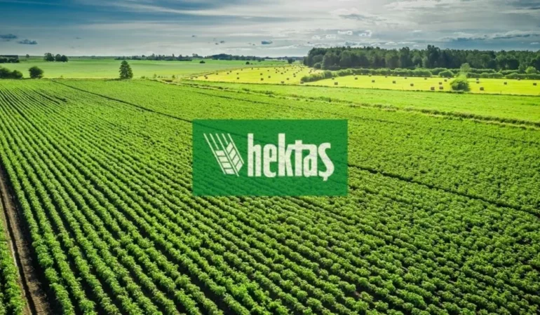 HEKTS-Hektas-Yonetim-Kurulu8217nda-Atama-featured