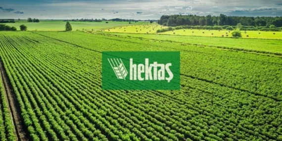 HEKTS: Hektaş’ta Yatırımcı İlişkileri Yönetimi Yenilendi