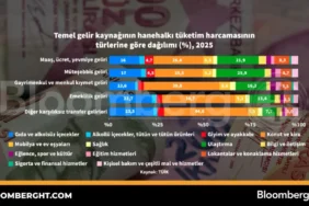 Hanehalki-Harcamalari-Gelir-Kaynagi-Dagilimi-Analizi-featured