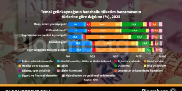 Hanehalki-Harcamalari-Gelir-Kaynagi-Dagilimi-Analizi-featured