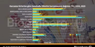 Hanehalki-Tuketim-Harcamalari-En-Buyuk-Pay-Gida-ve-Konutin-featured