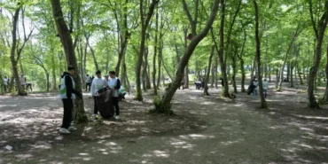 Istanbul8217da-Ormanlik-Alan-Girisleri-15-Ekim8217e-Kadar-Yasaklandi-featured