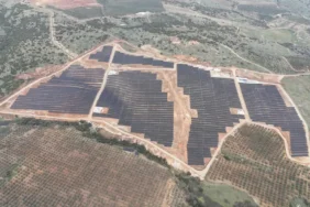 Sisecam-GES-Gucunu-45-MW8217a-Cikardi-featured