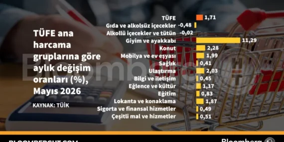 TÜFE ana harcama gruplarına göre aylık değişim oranları