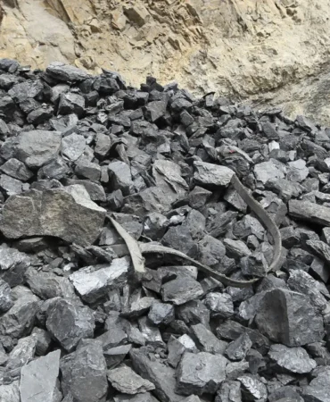 Türkiye Enerjisinde Kömür Devri Bitti, Yenilenebilir Zirve Yaptı 2 Turkiye-Enerjisinde-Komur-Devri-Bitti-Yenilenebilir-Zirve-Yapti-featured