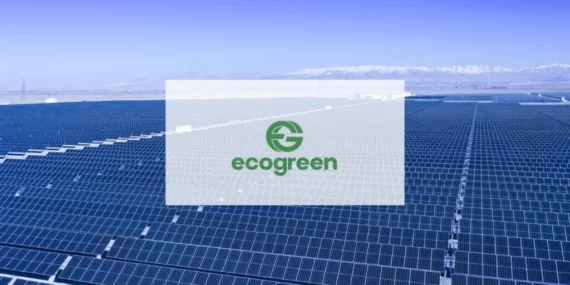 Ecogreen Enerji’den (ECOGR) birleşme açıklaması