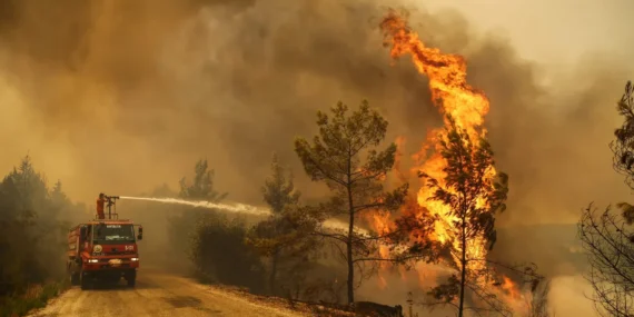 El Nino Uyarısı: Küresel Hava Olayları Riski Artıyor
