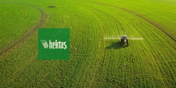 Hektaş (HEKTS) 12 temettü ödemesi yaptı