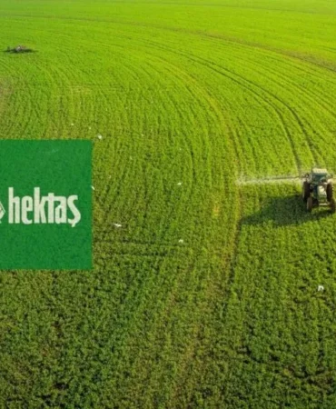 Hektaş (HEKTS) 13 bedelsiz sermaye artırımı yaptı 7 Hektas-HEKTS-13-bedelsiz-sermaye-artirimi-yapti-featured