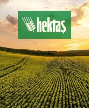 Hektas-HEKTS-hisseleri-12-ay-icinde-bu-fiyati-gorebilir-featured