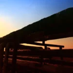 Irak-Suriye petrol hattı için kritik imzalar atıldı 8 Irak-Suriye-petrol-hatti-icin-kritik-imzalar-atildi-featured