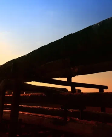 Irak-Suriye petrol hattı için kritik imzalar atıldı 10 Irak-Suriye-petrol-hatti-icin-kritik-imzalar-atildi-featured
