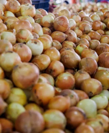 Kuru soğanda gümrük vergisi neden düşürüldü? Ticaret Bakanlığı'ndan açıklama 2 Kuru-soganda-gumruk-vergisi-neden-dusuruldu-Ticaret-Bakanligi039ndan-aciklama-featured