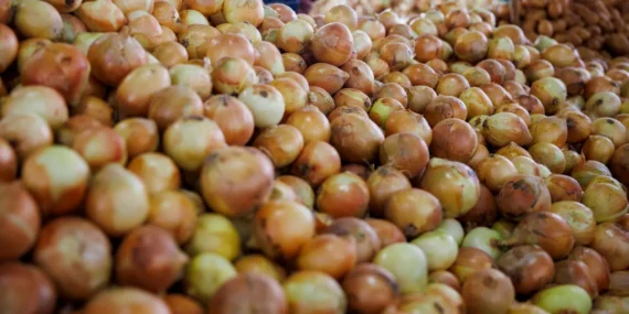 Kuru soğanda gümrük vergisi neden düşürüldü? Ticaret Bakanlığı'ndan açıklama