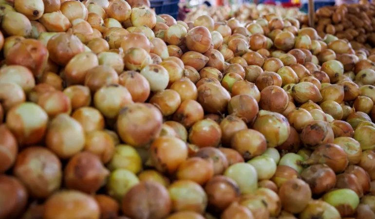 Kuru soğanda gümrük vergisi neden düşürüldü? Ticaret Bakanlığı'ndan açıklama 1 Kuru-soganda-gumruk-vergisi-neden-dusuruldu-Ticaret-Bakanligi039ndan-aciklama-featured