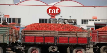 Tat-Gida-TATGD-2026-2.-ceyrek-bilancosu-beklentiyi-karsiladi-mi-featured