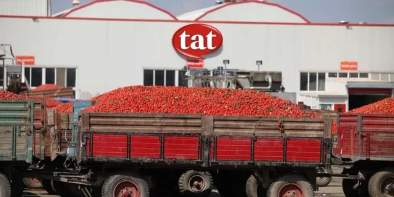 Tat Gıda (TATGD) 2026 2. çeyrek bilançosu beklentiyi karşıladı mı?