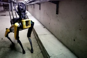 ABD Göç Operasyonlarında Robot Köpek Devri Başlıyor 3 ABD-Goc-Operasyonlarinda-Robot-Kopek-Devri-Basliyor-featured