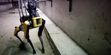 ABD Göç Operasyonlarında Robot Köpek Devri Başlıyor 10 ABD-Goc-Operasyonlarinda-Robot-Kopek-Devri-Basliyor-featured