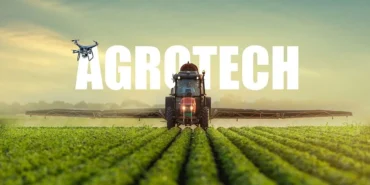 Agrotech (AGROT) 2Ç26 Zararı Azaldı, Hasılat Fırladı 9 Agrotech-AGROT-2C26-Zarari-Azaldi-Hasilat-Firladi-featured