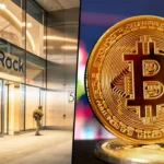 BlackRock-Bitcoin8217de-Kopuk-Temizlendi-Varlik-Iki-Yuzlu-Davranis-Sergiliyor-featured