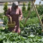 Bu-ciftlikte-para-gecmiyor-Tarlada-calisan-ucretsiz-konakliyor-featured