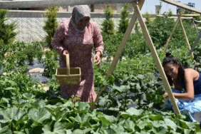 Bu çiftlikte para geçmiyor! Tarlada çalışan ücretsiz konaklıyor 3 Bu-ciftlikte-para-gecmiyor-Tarlada-calisan-ucretsiz-konakliyor-featured