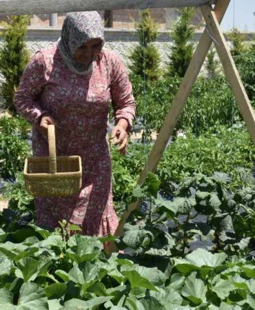 Bu-ciftlikte-para-gecmiyor-Tarlada-calisan-ucretsiz-konakliyor-featured
