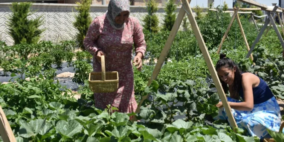 Bu çiftlikte para geçmiyor! Tarlada çalışan ücretsiz konaklıyor