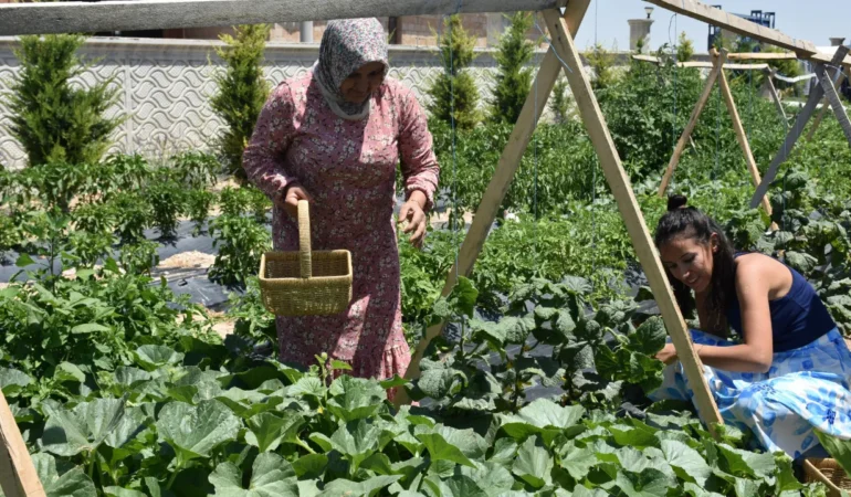 Bu-ciftlikte-para-gecmiyor-Tarlada-calisan-ucretsiz-konakliyor-featured