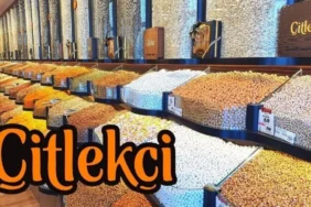 Citlekci-CITAS-kac-lot-verir-Citlekci-halka-arzinda-kisi-basi-kac-lot-duser-featured