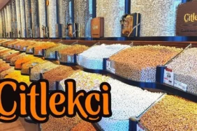 Citlekci-Gida-Halka-Arzi-Katilim-Endeksine-Uygun-Mu-featured