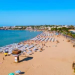 Didim'deki İki Taşınmaz Turizm Firmalarına Satıldı 16 Didim8217deki-Iki-Tasinmaz-Turizm-Firmalarina-Satildi-featured