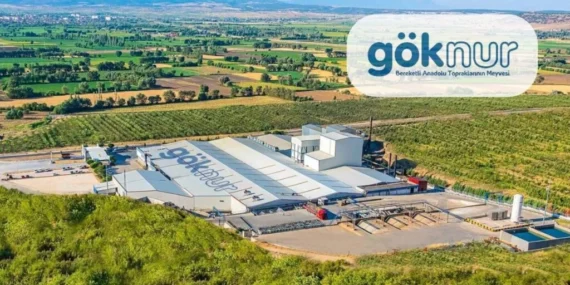 GOKNR: Göknur Gıda Soruşturma Açıklaması Yaptı