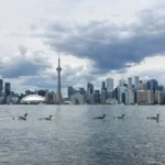 Google Haritalar Ontario Gölü'nü 'Amerika Gölü' yaptı 14 Google-Haritalar-Ontario-Golu8217nu-8216Amerika-Golu8217-yapti-featured