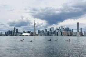Google Haritalar Ontario Gölü'nü 'Amerika Gölü' yaptı 3 Google-Haritalar-Ontario-Golu8217nu-8216Amerika-Golu8217-yapti-featured