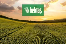Hektaş (HEKTS) 2026 2. Çeyrek Zarar Beklentisi 7 Hektas-HEKTS-2026-2.-Ceyrek-Zarar-Beklentisi-featured