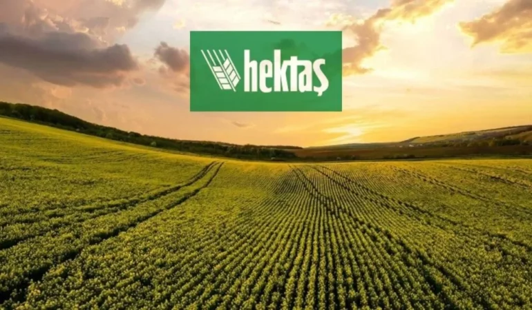 Hektas-HEKTS-2026-2.-Ceyrek-Zarar-Beklentisi-featured
