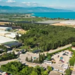 Hektas-HEKTS-2026-Ilk-Yari-Zarari-Artti-featured