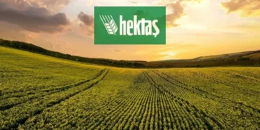 Hektaş (HEKTS) Hedef Fiyatı Güncellendi: Deniz Yatırım'dan Yeni Yorum 35 Hektas-HEKTS-Hedef-Fiyati-Guncellendi-Deniz-Yatirim8217dan-Yeni-Yorum-featured