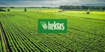 Hektas-HEKTS-Zarar-Aciklamasi-Finansal-Gorunum-Ne-Diyor-featured