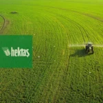 Hektas-HEKTS-hisse-hedef-fiyati-ve-guncel-teknik-analizi-featured