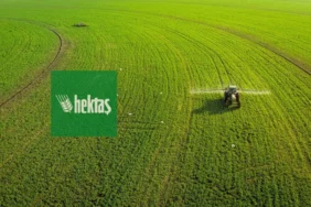 Hektas-HEKTS-hisse-hedef-fiyati-ve-guncel-teknik-analizi-featured